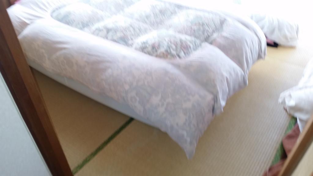 "Cherry House" Is Direct To Narita,Haneda Ap, Disney, Asakusa, Skytree Tower, Tokyo มัตสึโดะ ภายนอก รูปภาพ