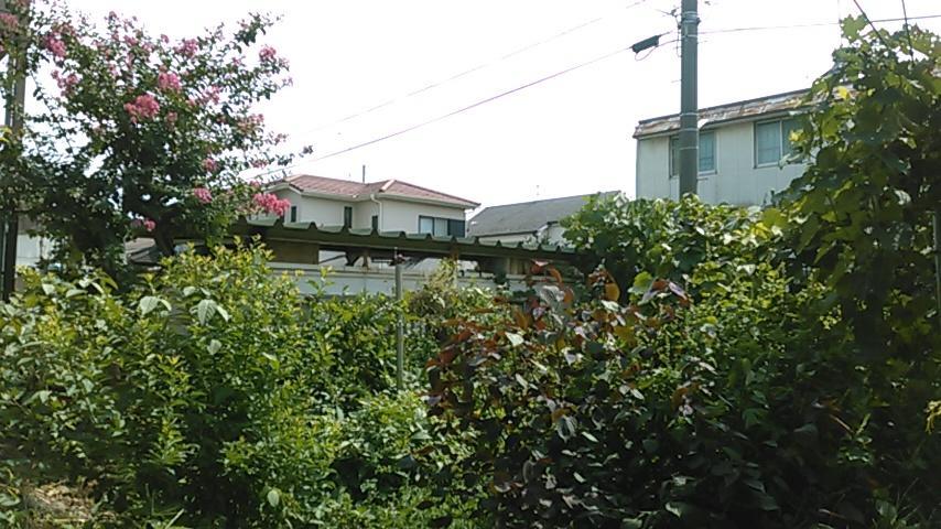 "Cherry House" Is Direct To Narita,Haneda Ap, Disney, Asakusa, Skytree Tower, Tokyo มัตสึโดะ ภายนอก รูปภาพ